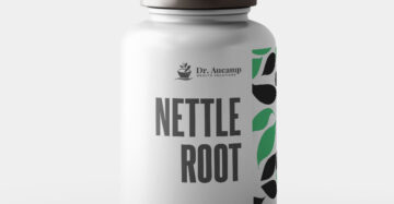 Nettle Root