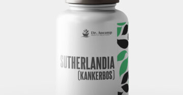 Sutherlandia (Kankerbos)