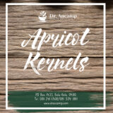 Apricot Kernels